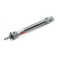 Пневмоцилиндр Camozzi 24N1A25A010
