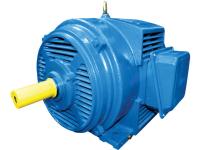 Электродвигатель 5АМН 315S8