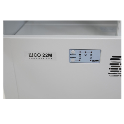 Сушильный шкаф ШСО-22М